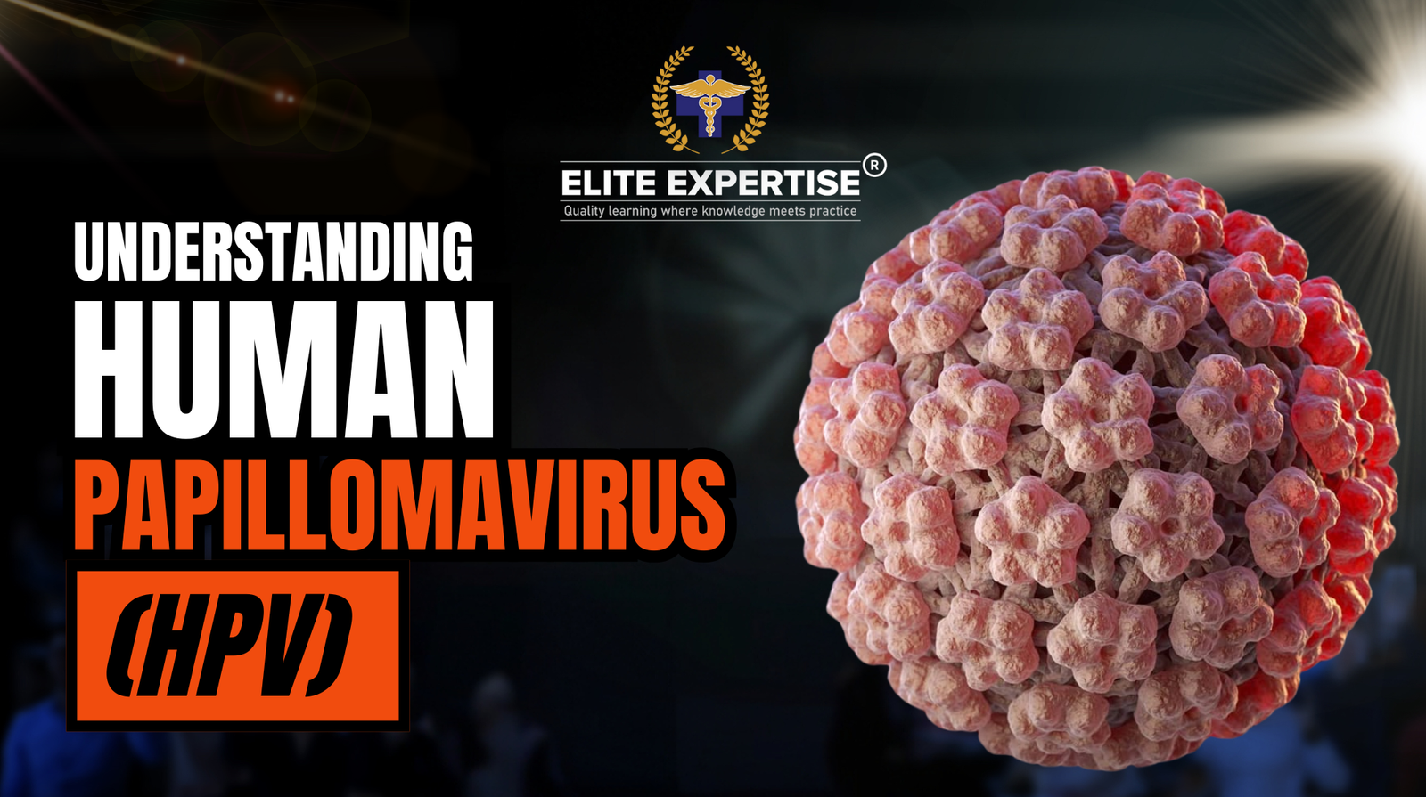 Understanding Human Papillomavirus